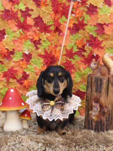 20241123おうたくん